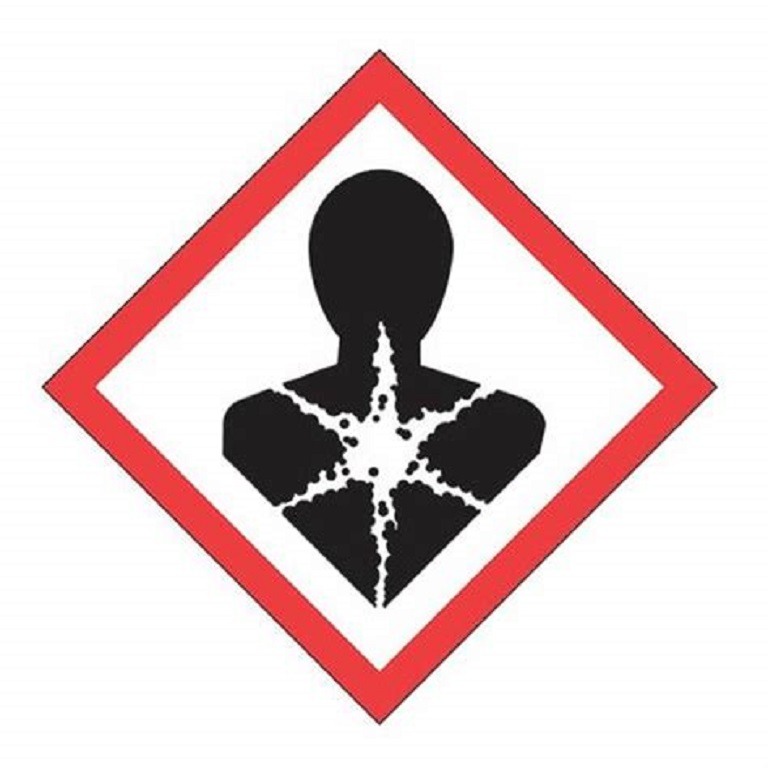 Health Hazard Pictogram